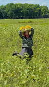 bellapoarch Altpins Profile Picture