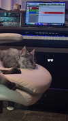 bellapoarch Altpins Profile Picture