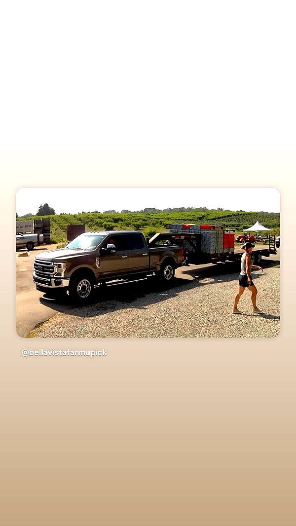 bellarenaldi instagram image archive image