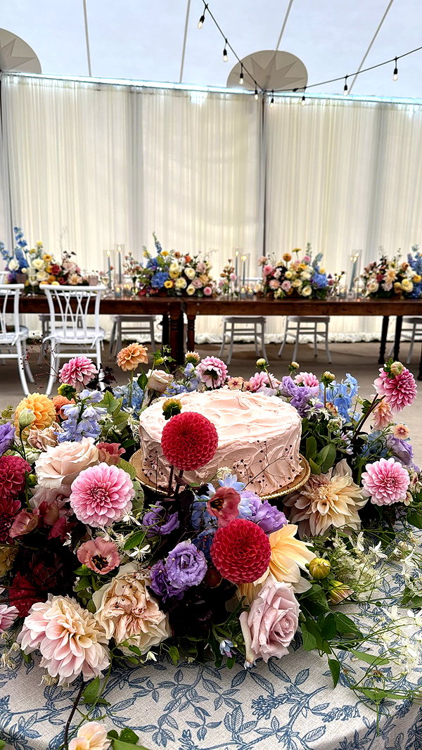 bellarenaldi instagram image archive image