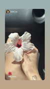ben_zemach Altpins Profile Picture