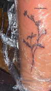 beth.sharonu Altpins Profile Picture