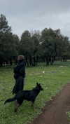beth.sharonu Altpins Profile Picture