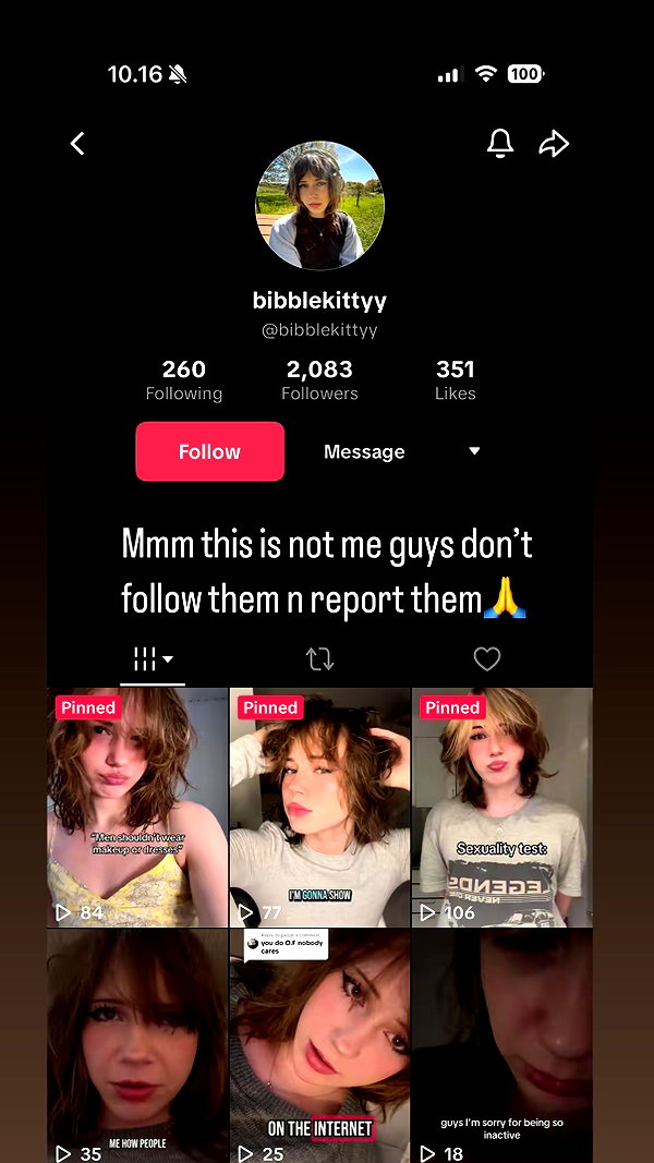 bibblekitty.reels instagram image archive image