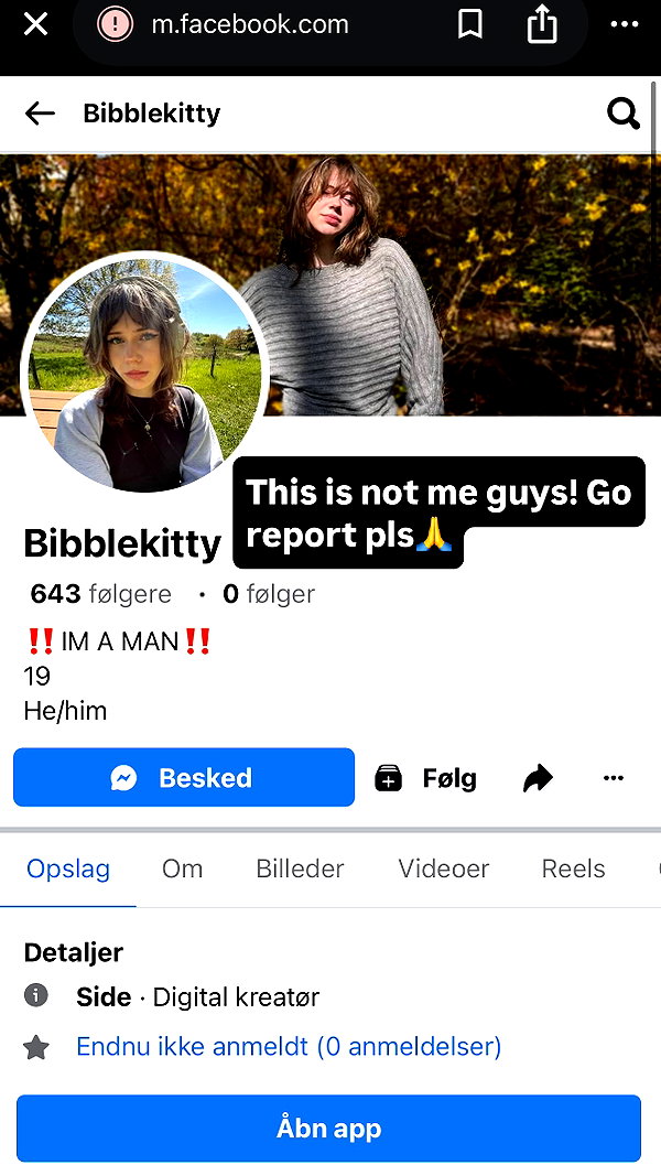 bibblekitty.reels instagram image archive image