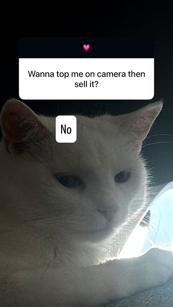 bibblekitty.reels instagram image archive image