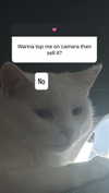 bibblekitty.reels Altpins Profile Picture