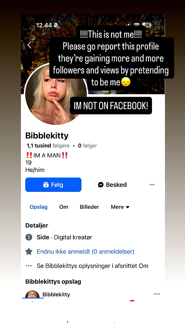bibblekitty.reels instagram image archive image