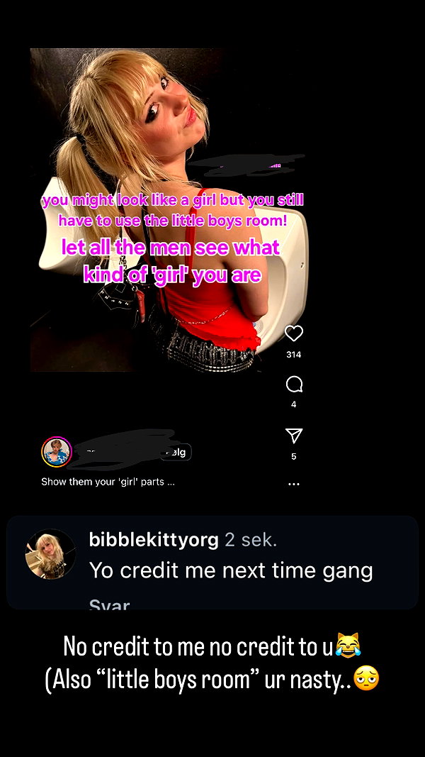bibblekitty.reels instagram image archive image