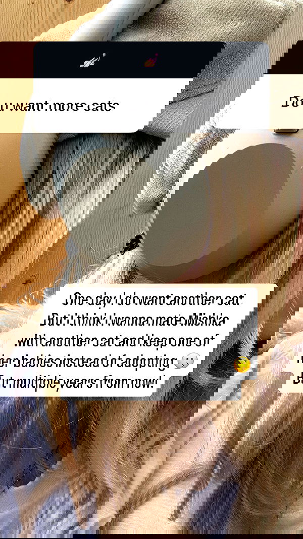 bibblekitty.reels bibblekitty.reels archive image