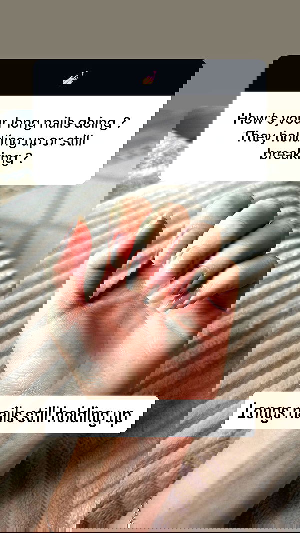 bibblekitty.reels bibblekitty.reels archive image