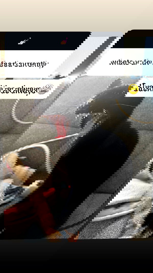 bibblekitty.reels bibblekitty.reels archive image