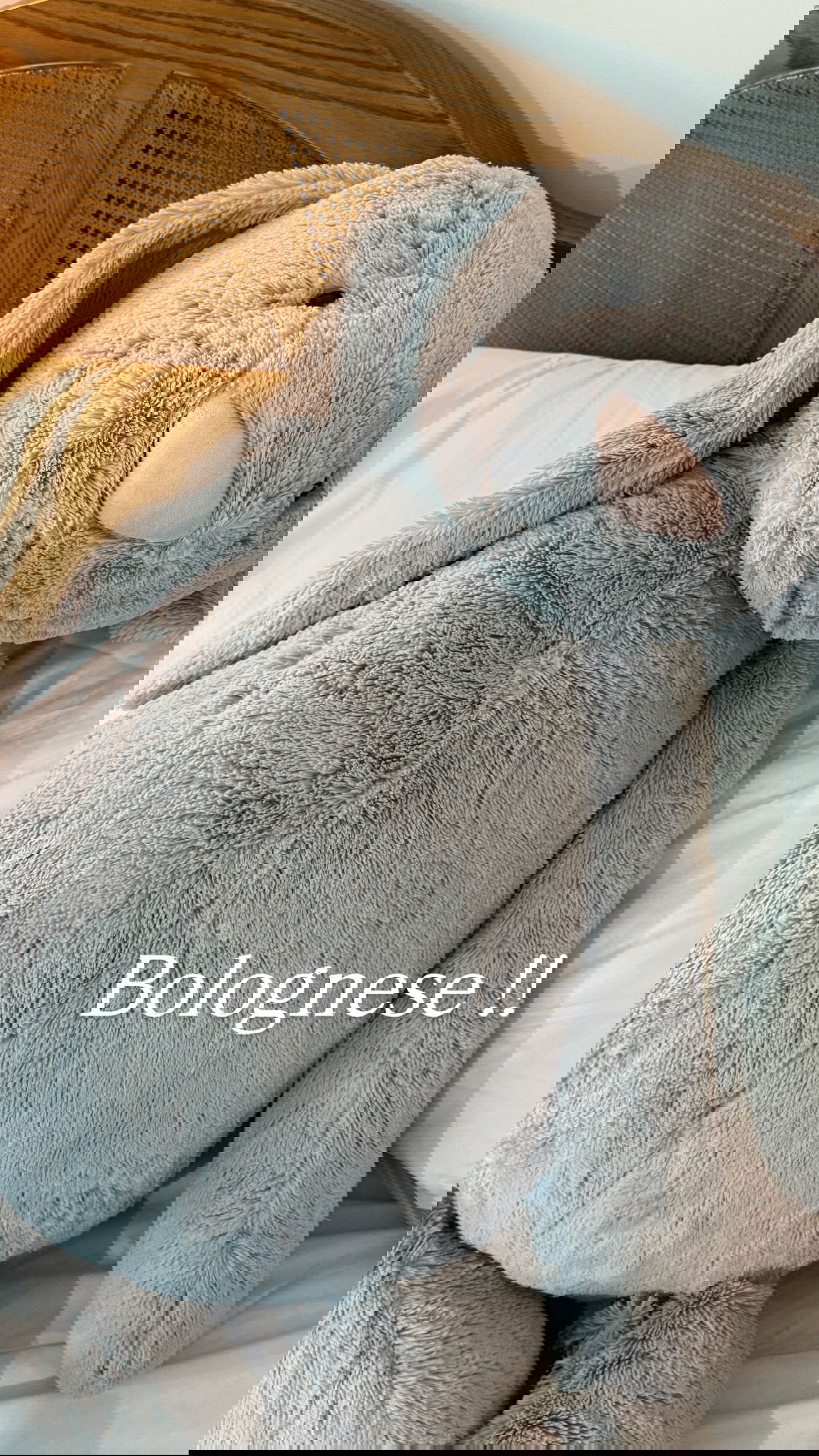 big_icky instagram image archive image