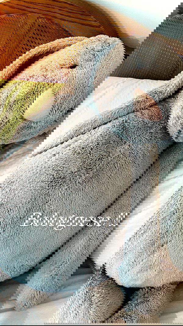 big_icky image ~ Altpins