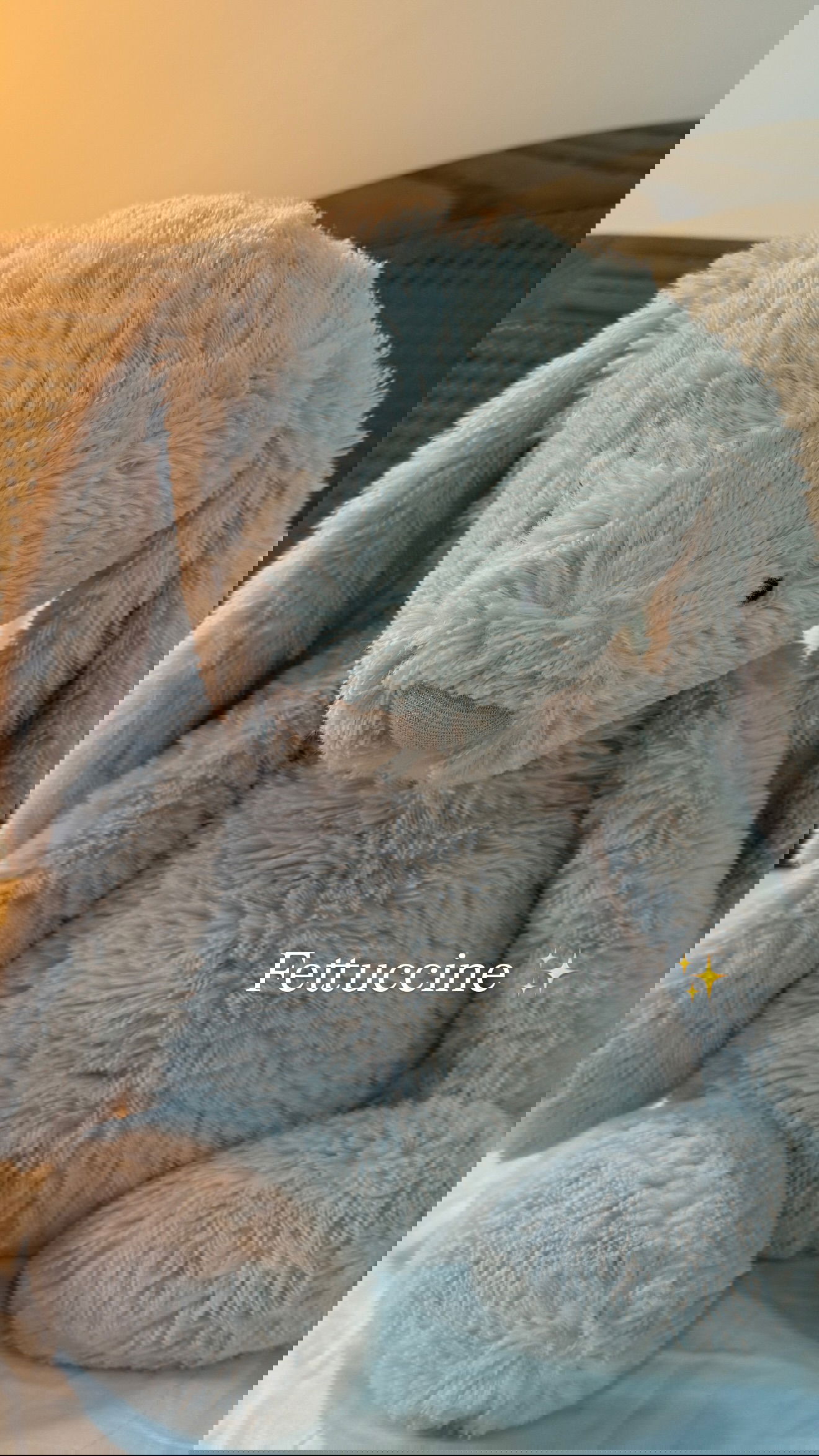 big_icky instagram image archive image