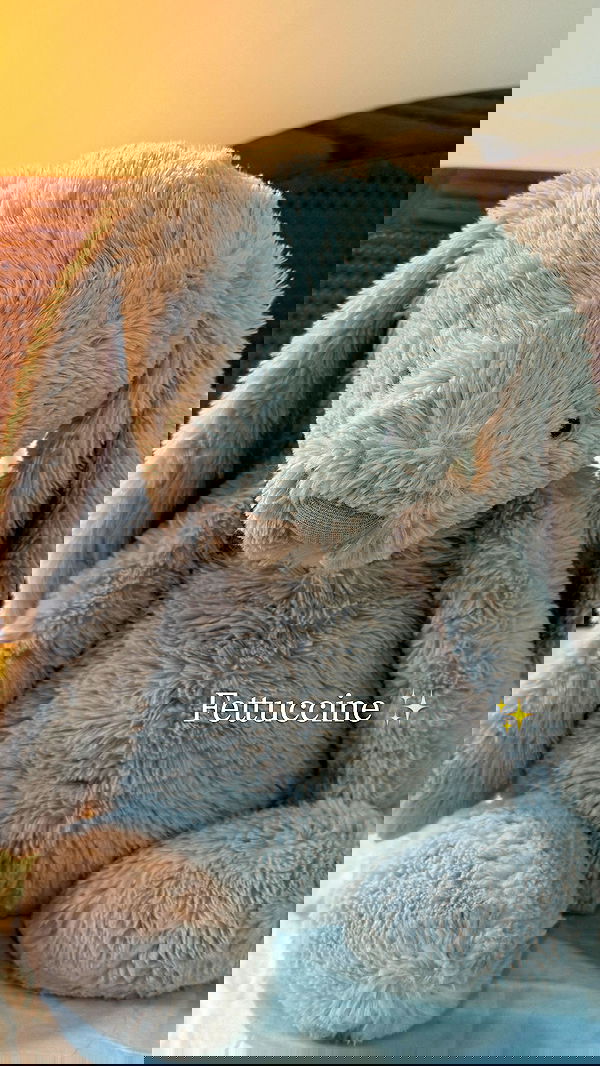 big_icky image ~ Altpins