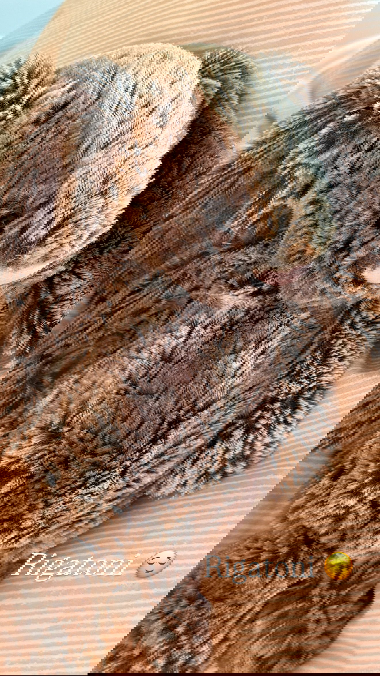 big_icky instagram image archive image