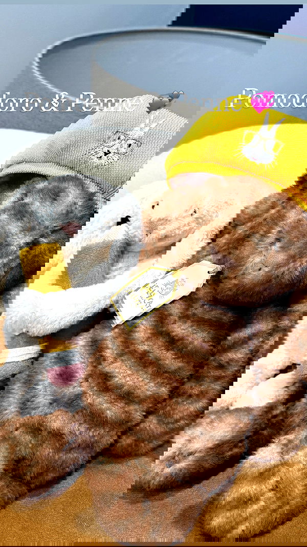 big_icky image ~ Altpins