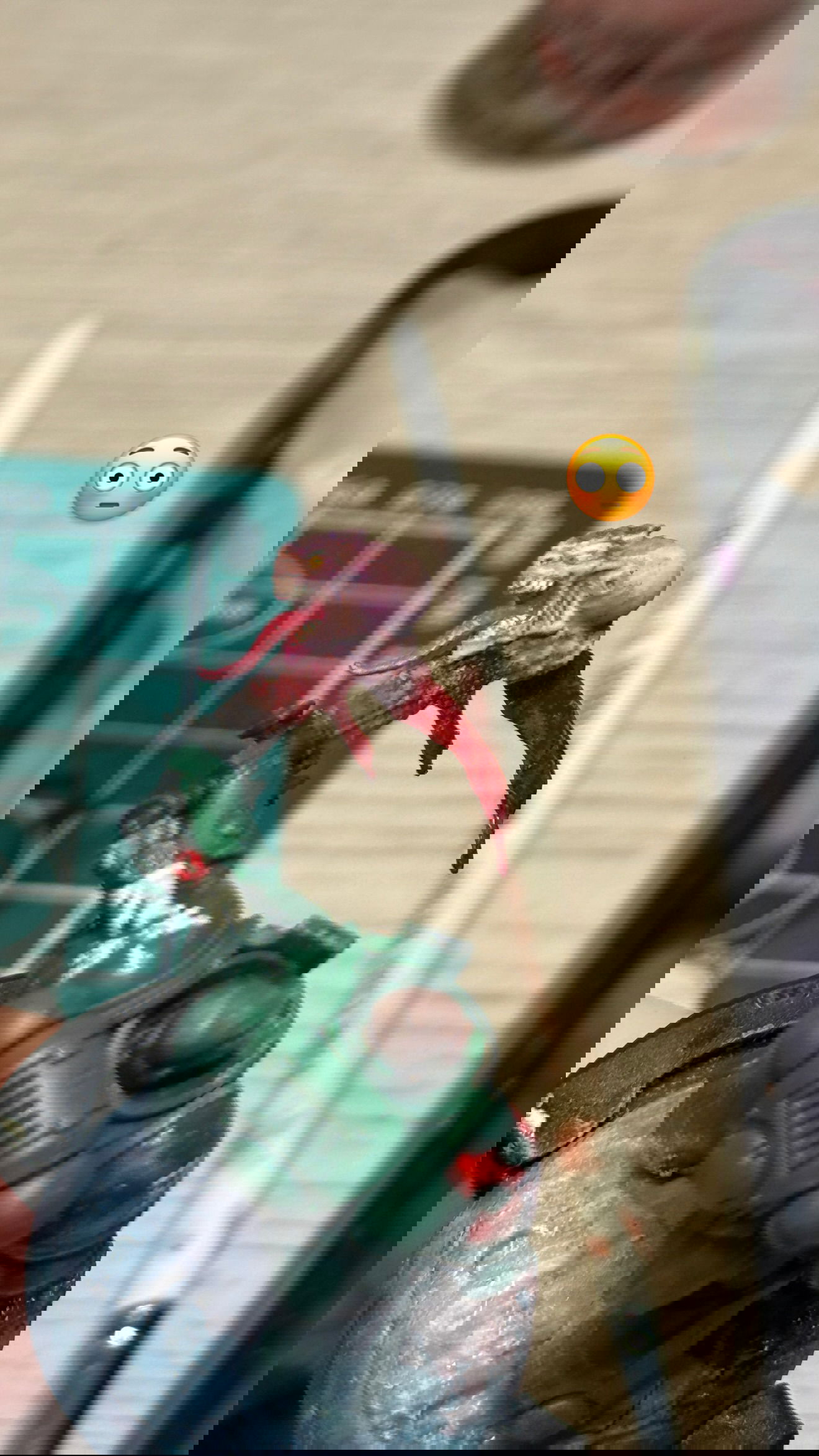 big_icky instagram image archive image