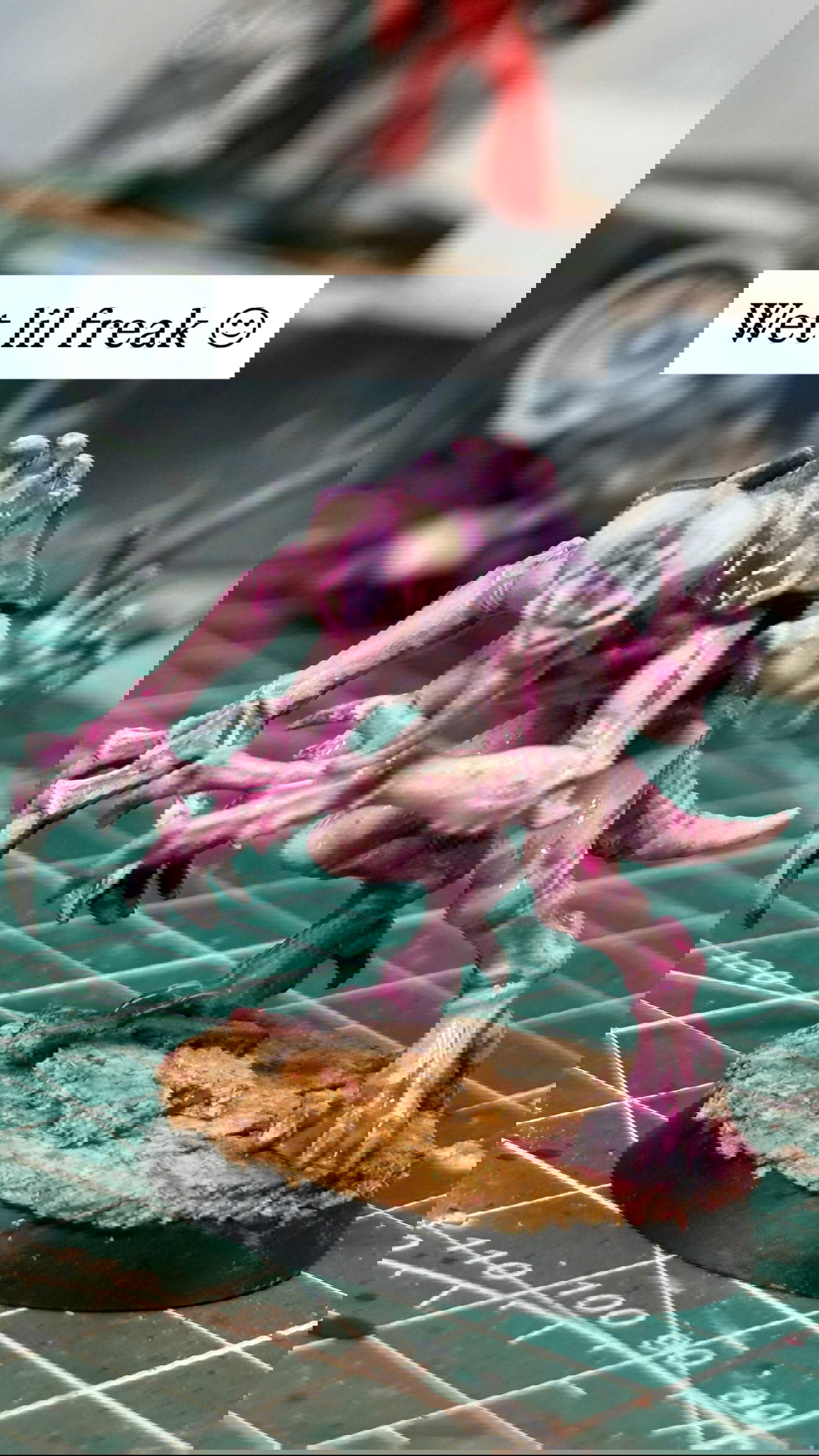 big_icky instagram image archive image