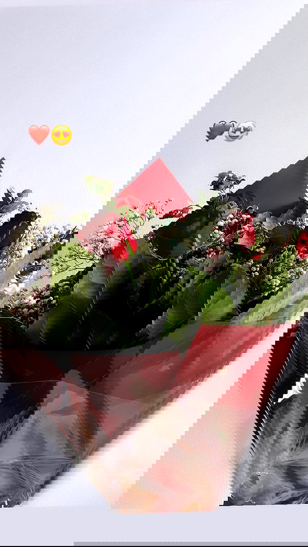 biton__adi biton__adi archive image