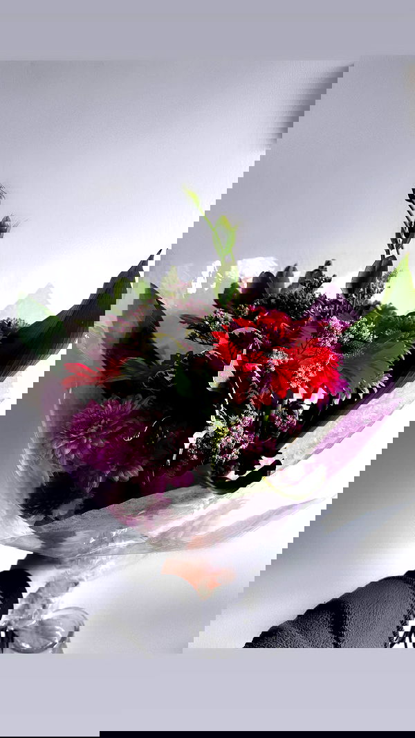 biton__adi biton__adi archive image