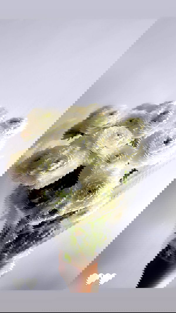 biton__adi biton__adi archive image