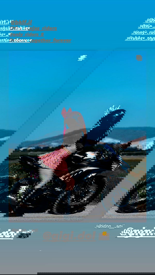 biton__adi biton__adi archive image