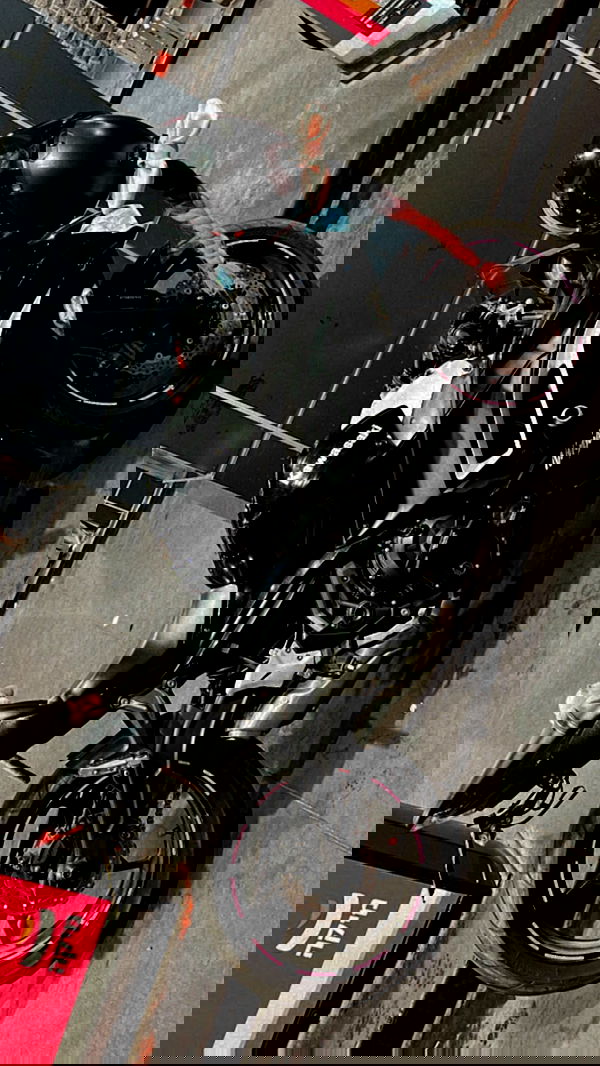 biton__adi biton__adi archive image