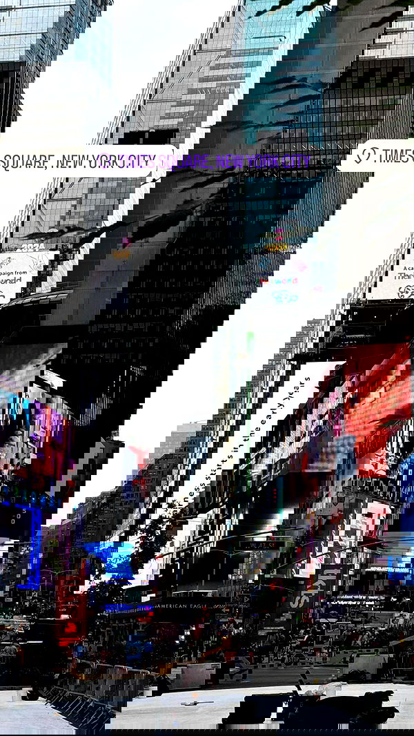 biton__adi biton__adi archive image