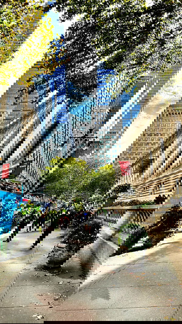 biton__adi biton__adi archive image