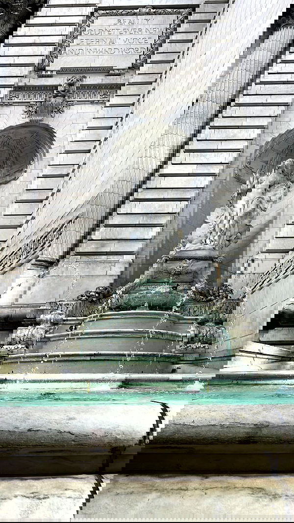 biton__adi biton__adi archive image