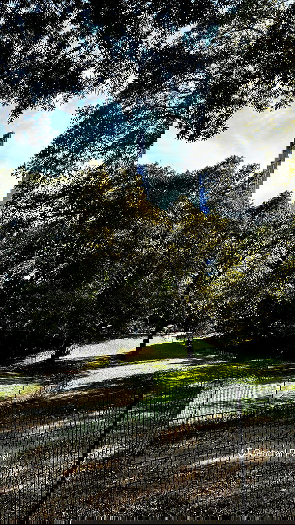 biton__adi biton__adi archive image