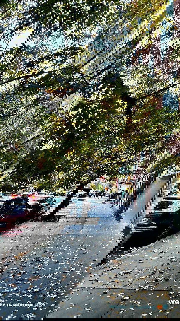 biton__adi biton__adi archive image