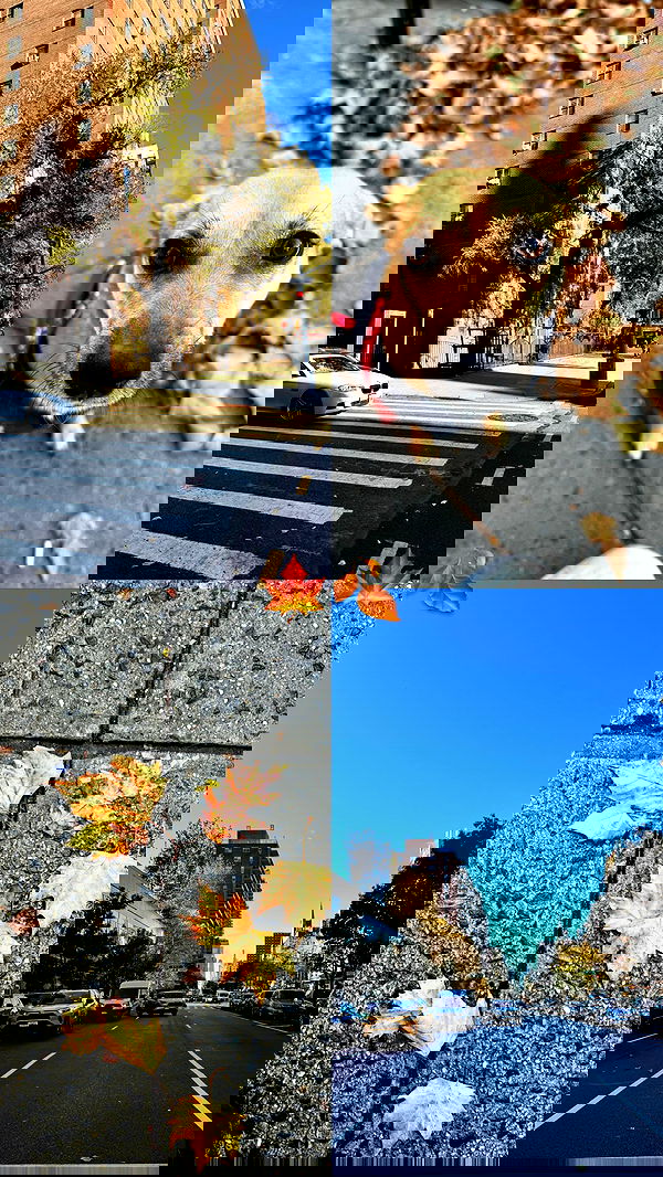 biton__adi biton__adi archive image