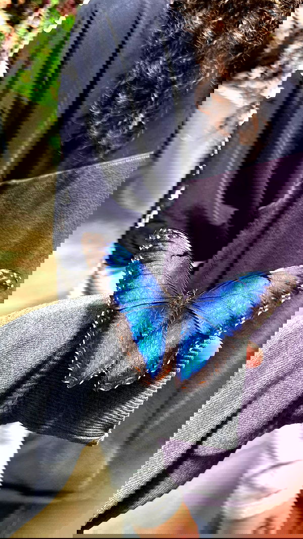 biton__adi biton__adi archive image