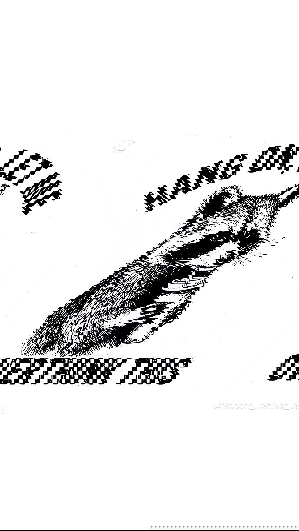 biton__adi biton__adi archive image