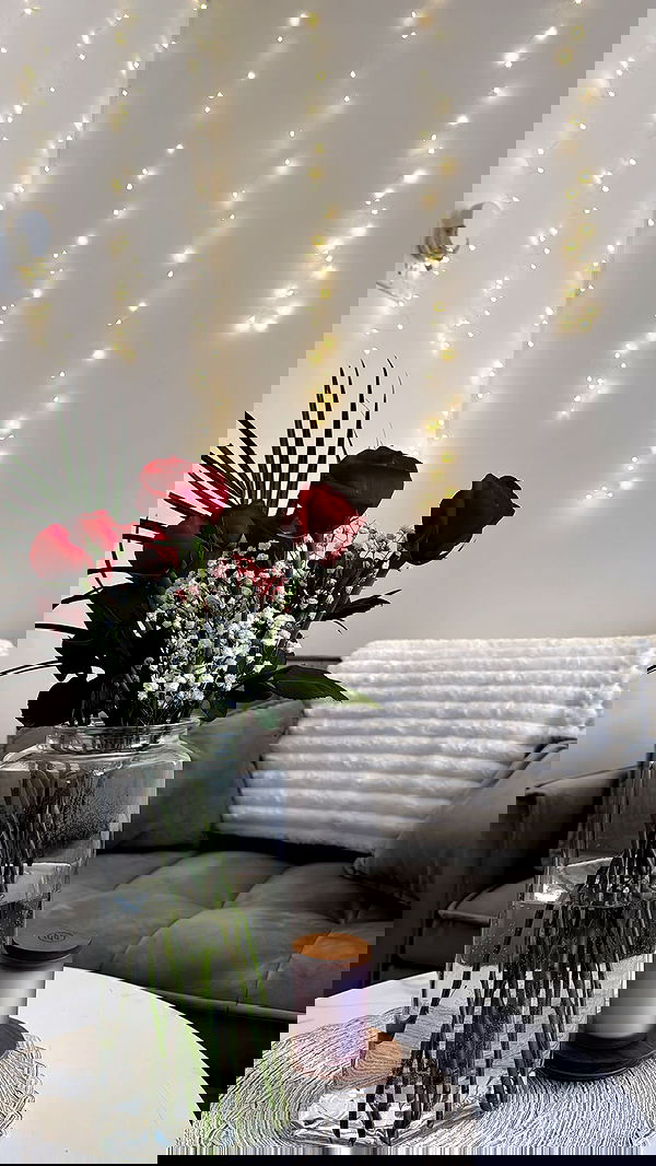 biton__adi biton__adi archive image