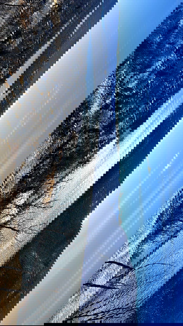 biton__adi biton__adi archive image