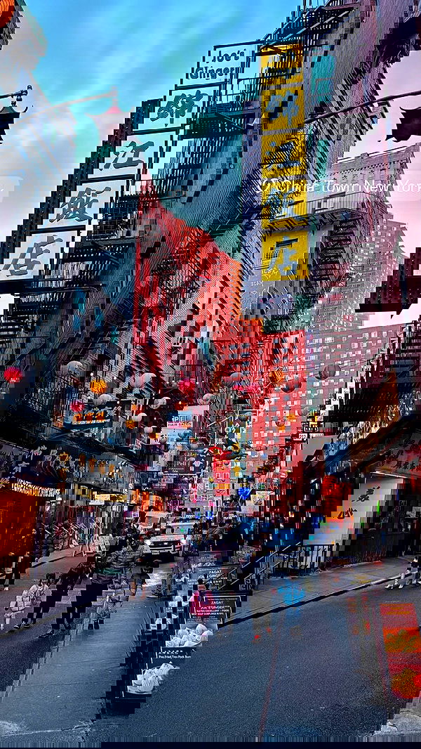 biton__adi biton__adi archive image