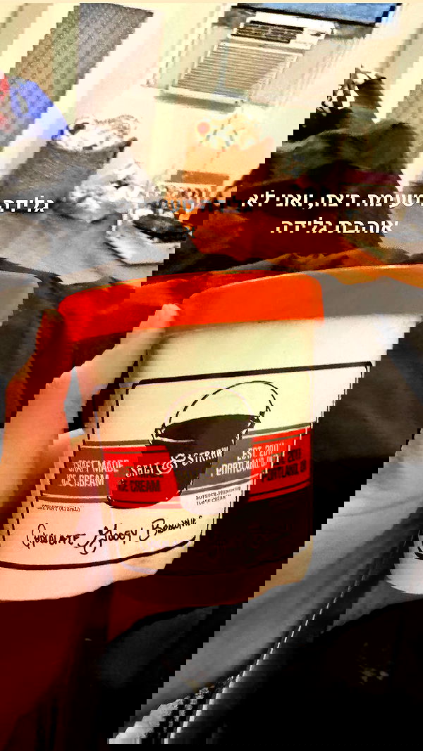 biton__adi biton__adi archive image