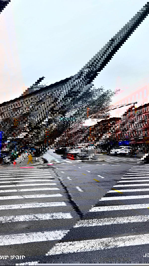 biton__adi biton__adi archive image