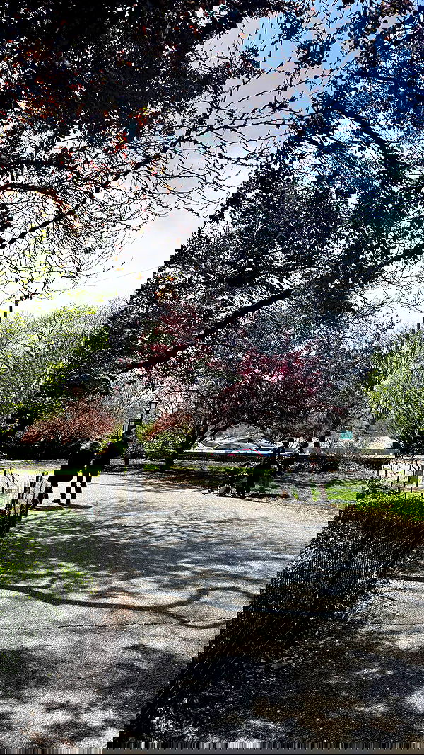 biton__adi biton__adi archive image