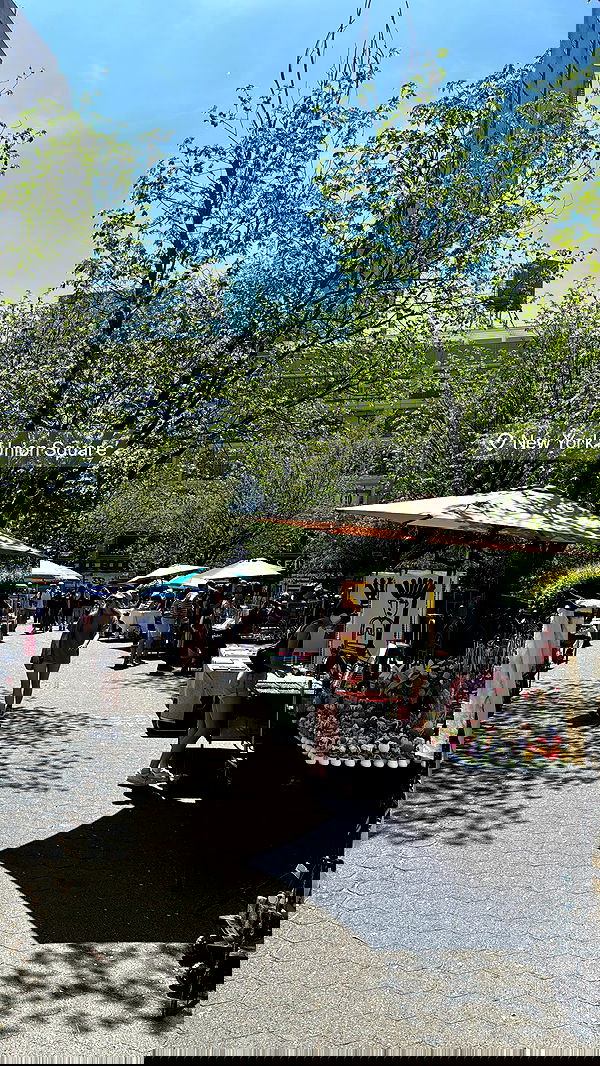 biton__adi biton__adi archive image