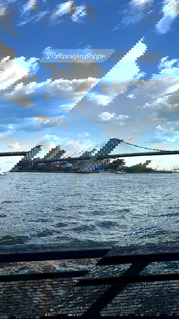 biton__adi biton__adi archive image