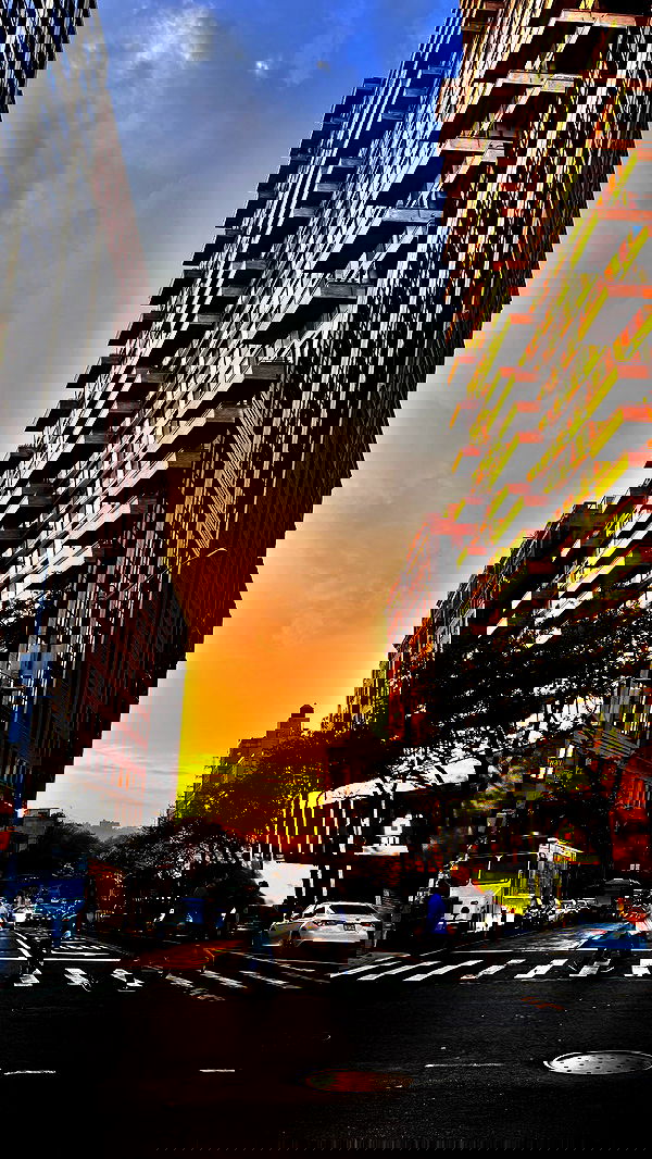 biton__adi biton__adi archive image