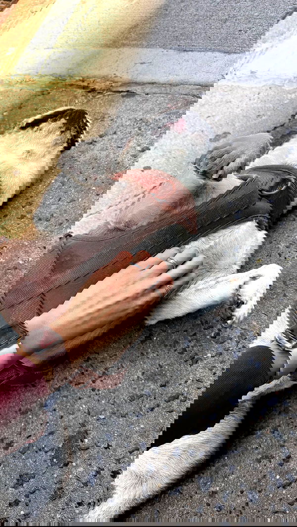 biton__adi biton__adi archive image