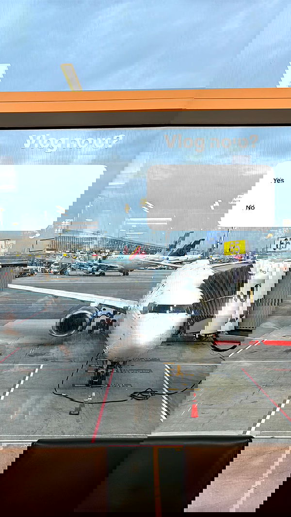 biton__adi biton__adi archive image