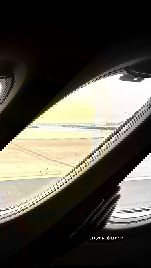 biton__adi biton__adi archive image