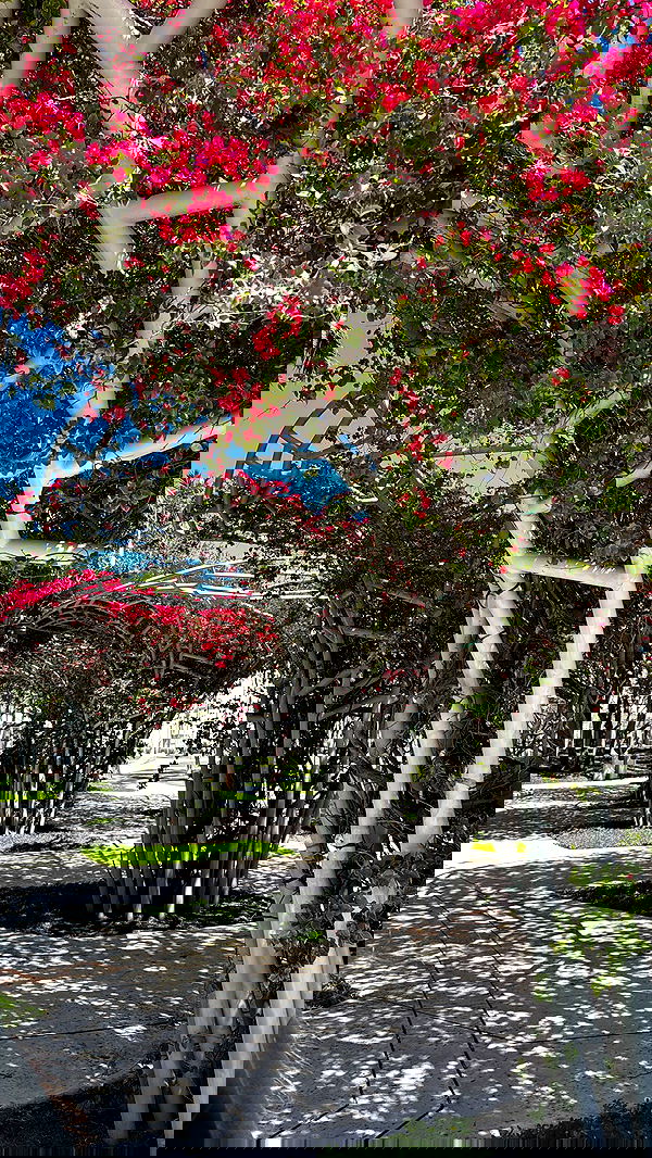 biton__adi biton__adi archive image